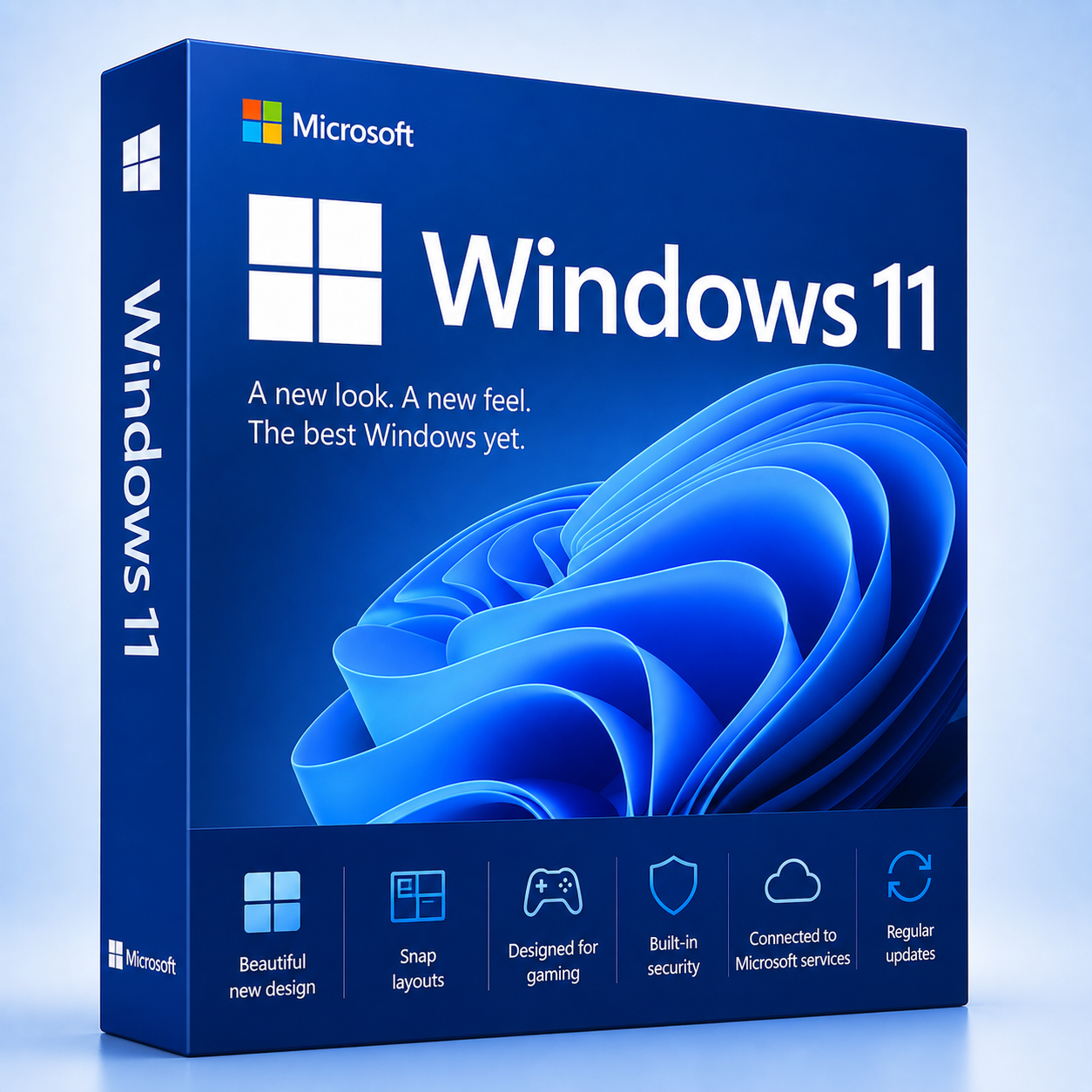 Windows 11