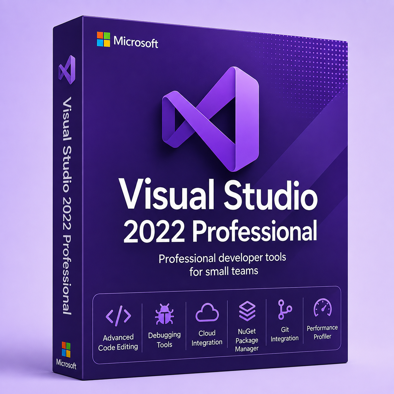 Visual Studio 2022 Professional