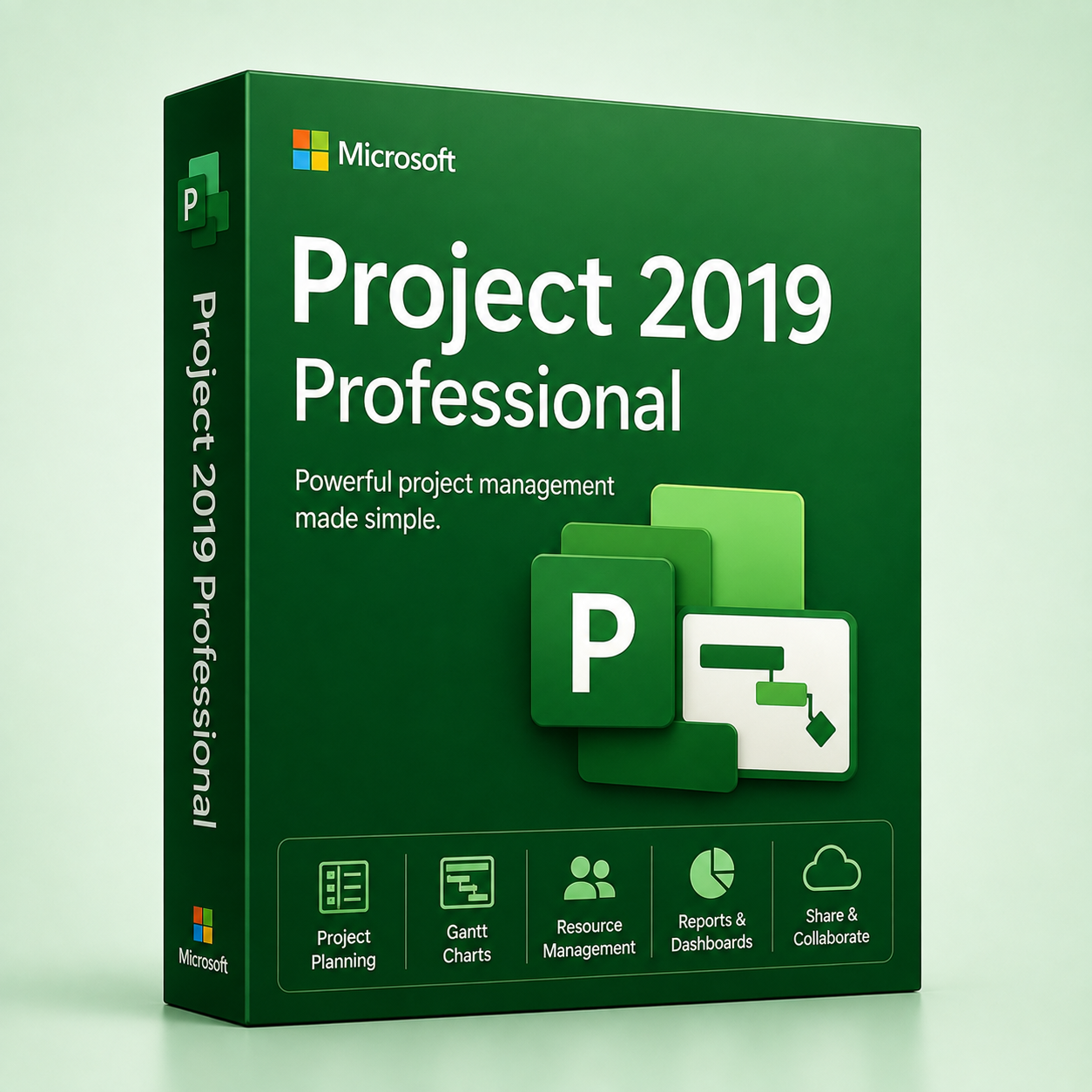 Project 2019 Professional