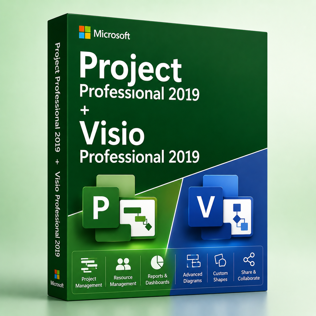 Project Professional 2019 + Visio Professional 2019