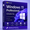 Windows 11 Professional
