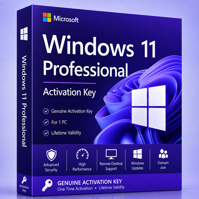 Windows 11 Professional